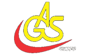 AGS gesso- jc